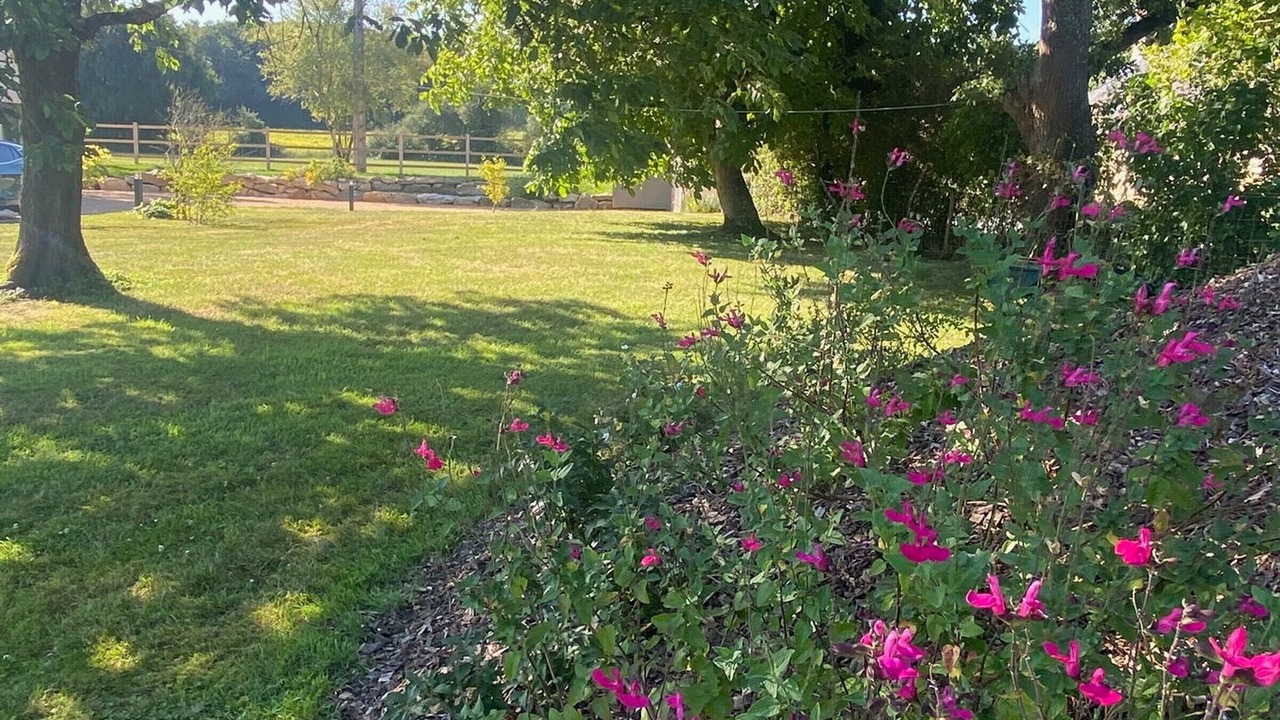 Photo of Outdoor in Le Vieil-Bauge