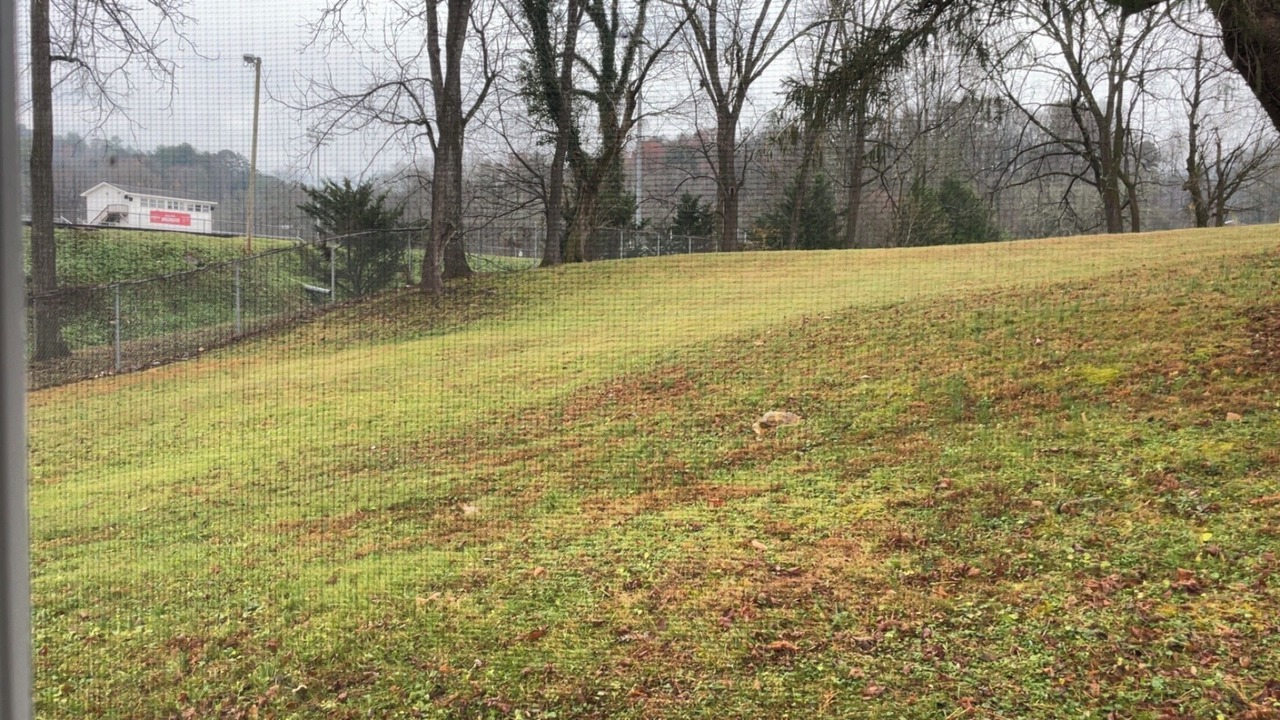 Photo of Outdoor in Andrews