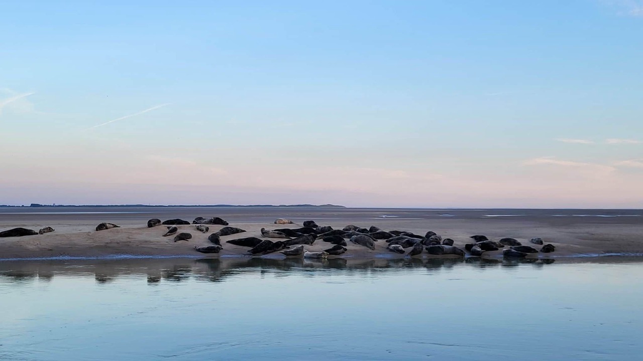 Photo of Others in Merlimont-Plage