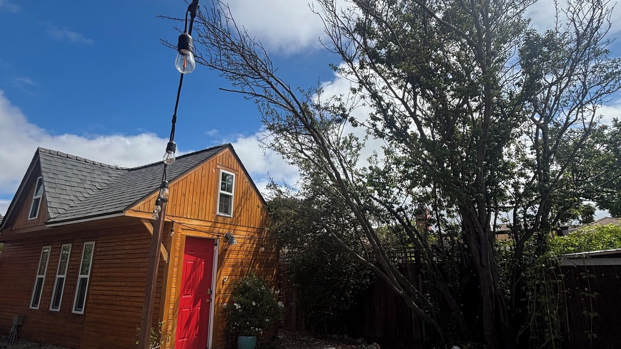 Photo of Outdoor in East Richmond