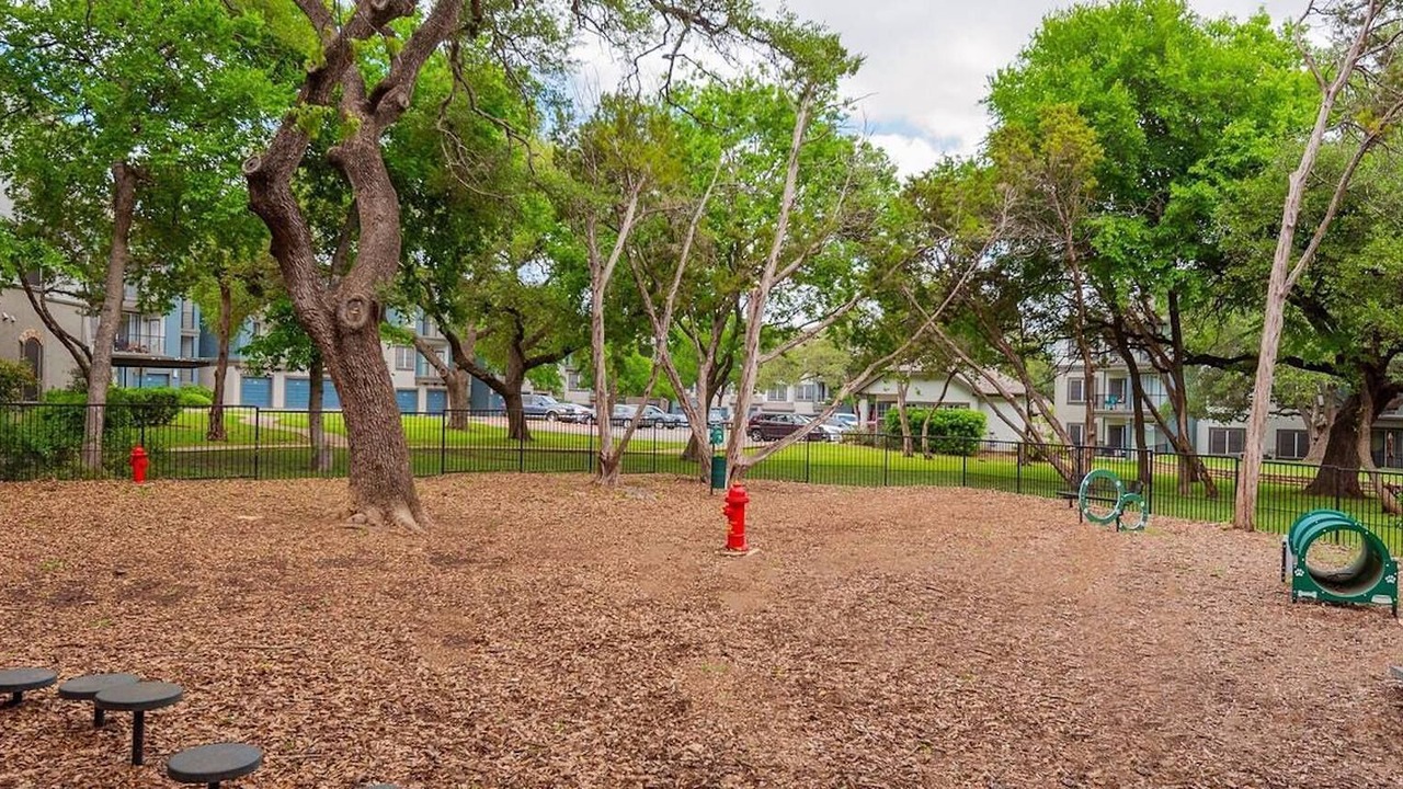 Photo of Outdoor in North Burnet
