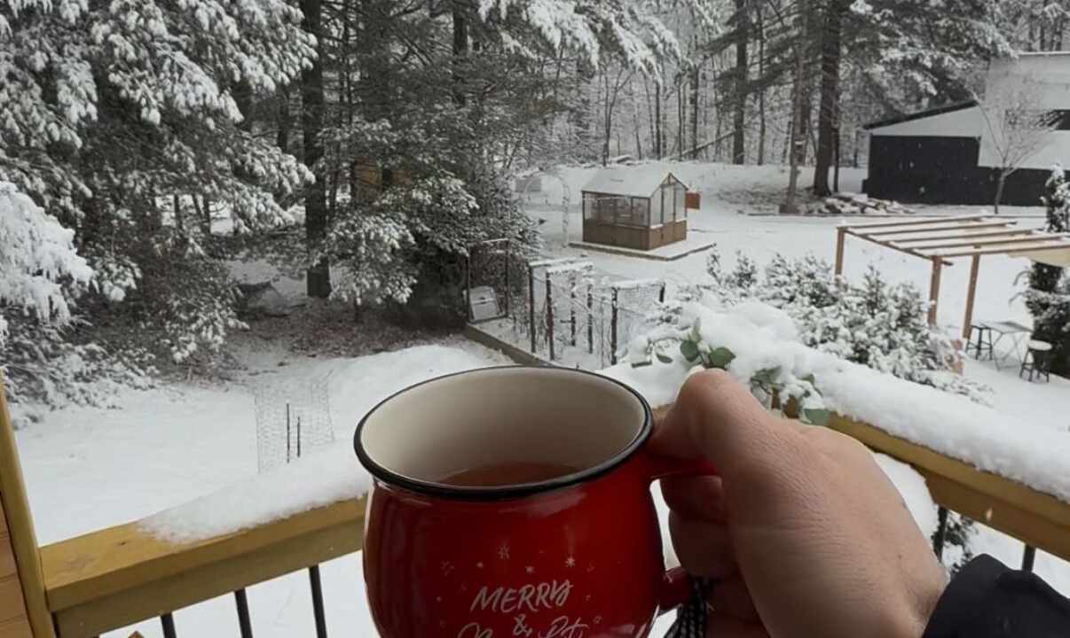 Photo of Outdoor in Ringwood