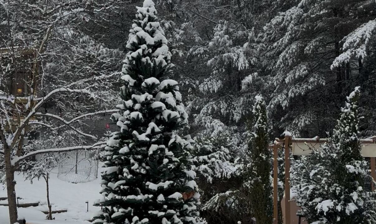 Photo of Outdoor in Ringwood