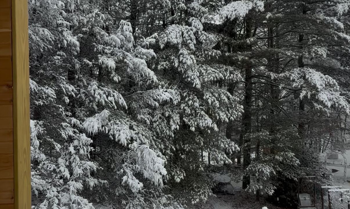 Photo of Outdoor in Ringwood