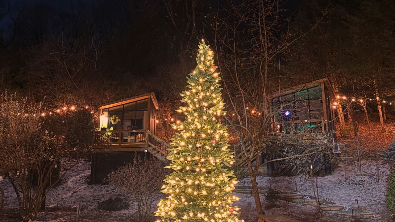 Photo of Outdoor in Ringwood