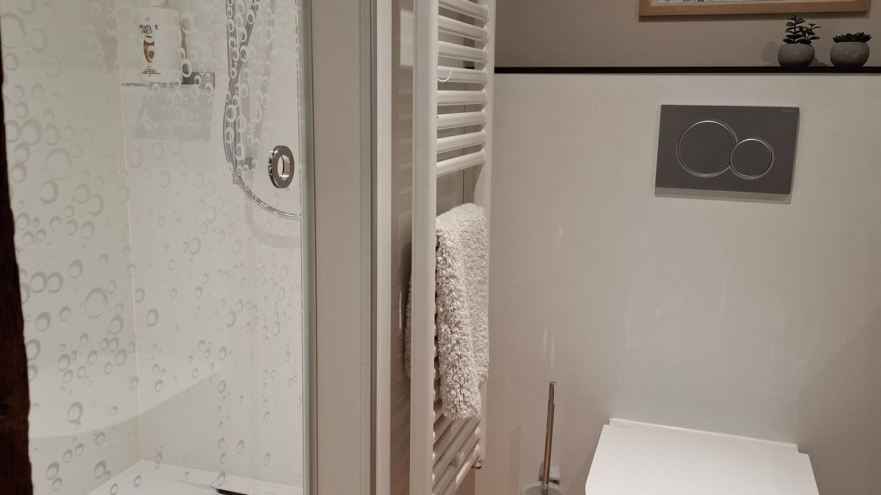 Photo of Bathroom in Luchsingen