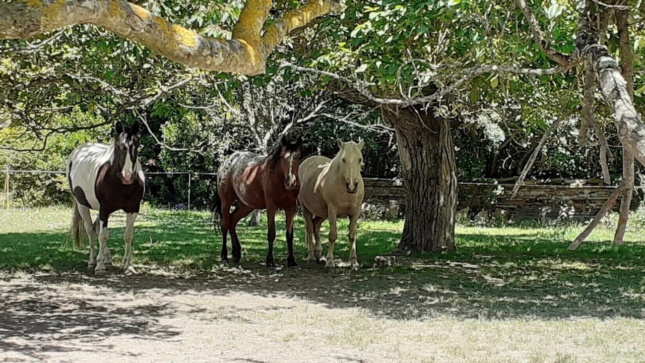 Photo of Others in Leguevin