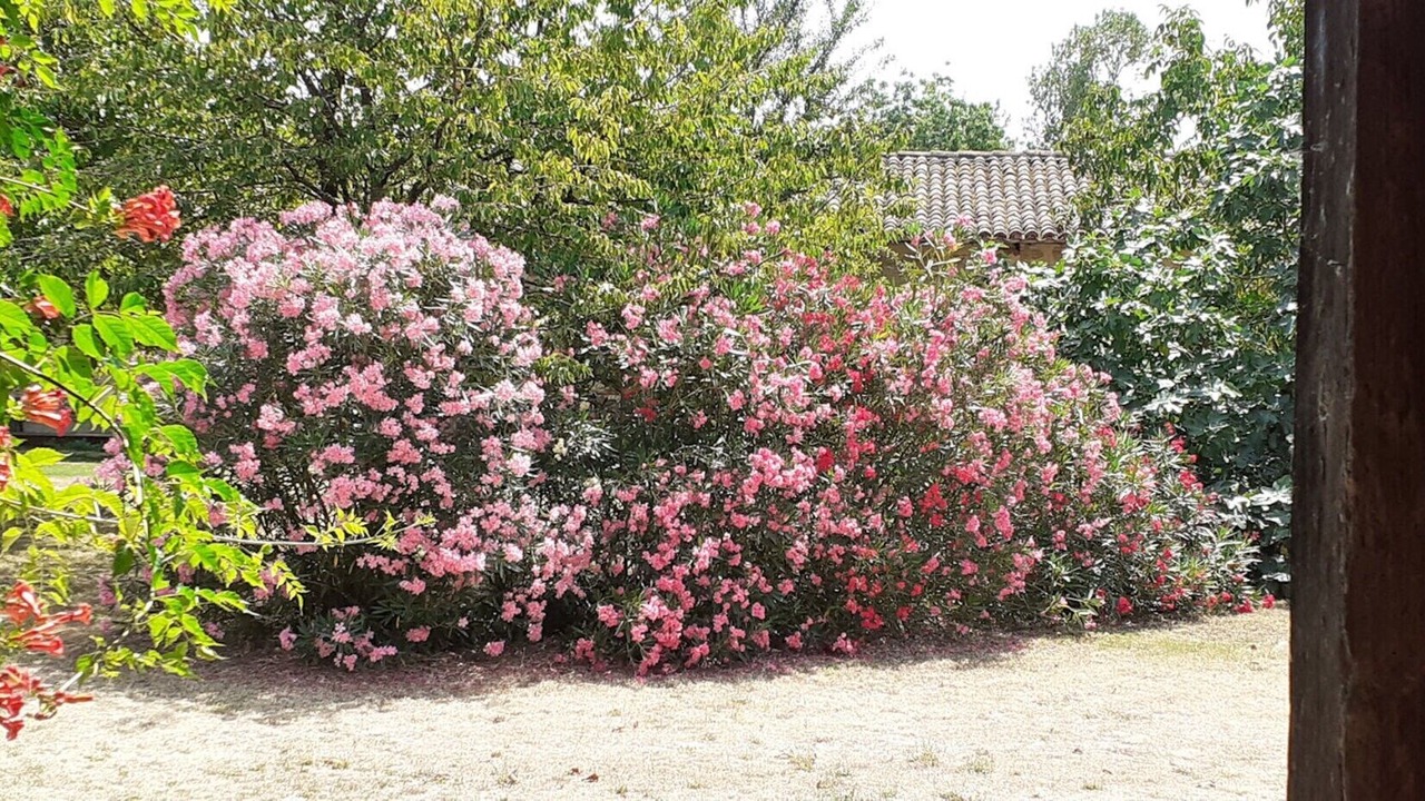 Photo of Outdoor in Leguevin