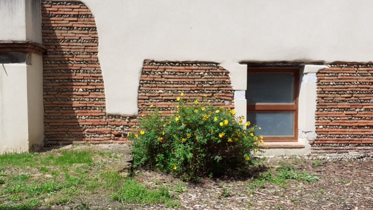 Photo of Outdoor in Leguevin