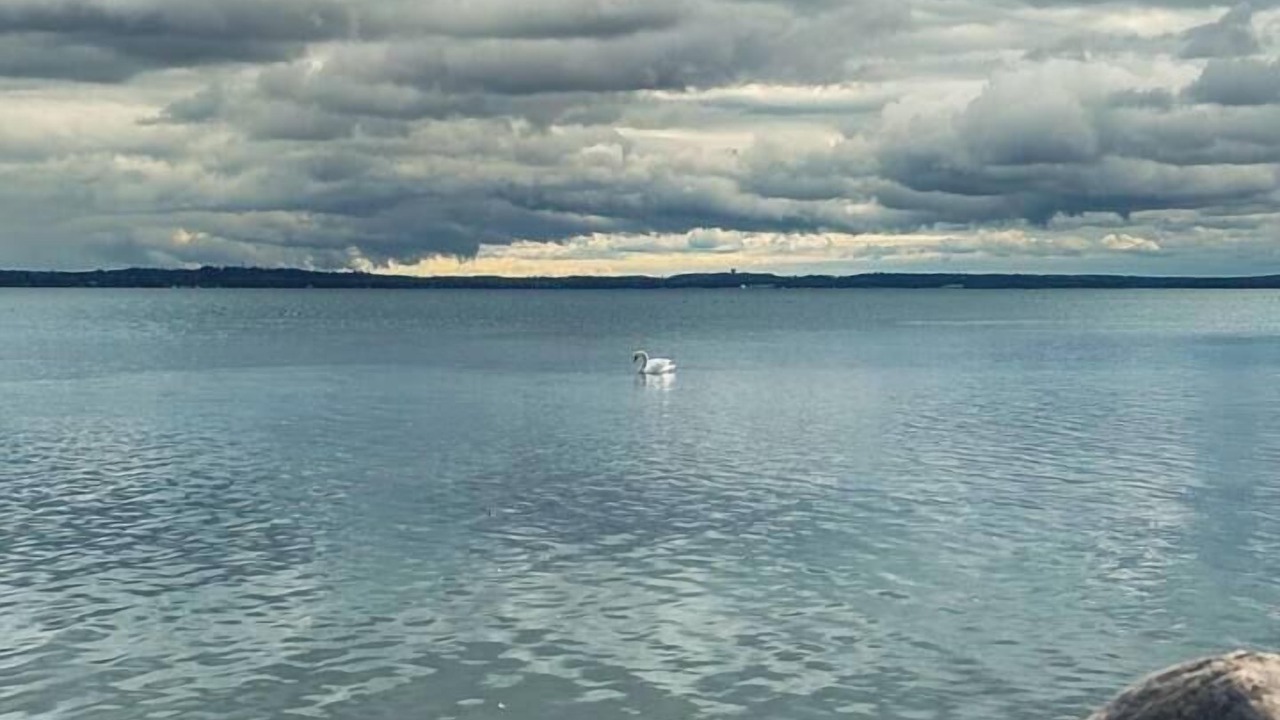 Photo of Others in Innisfil