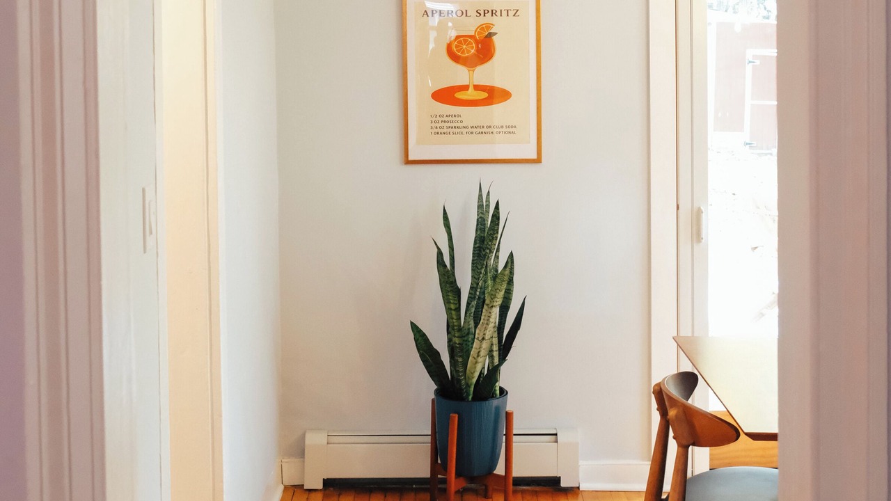 Photo of Others in Saugerties