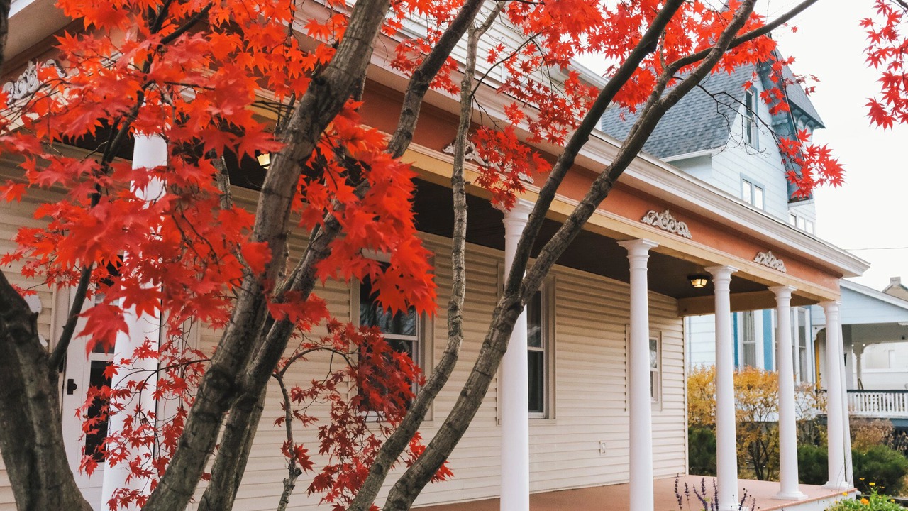 Photo of Outdoor in Saugerties