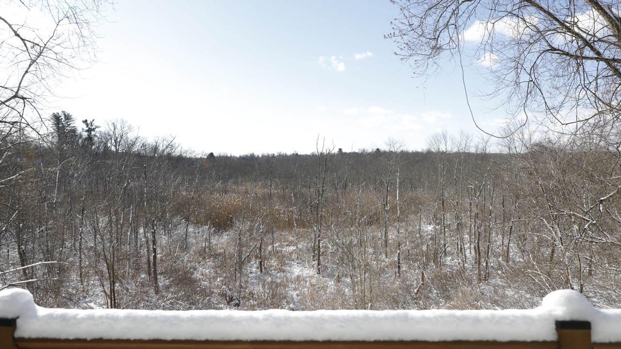 Photo of Outdoor in Lincoln Park