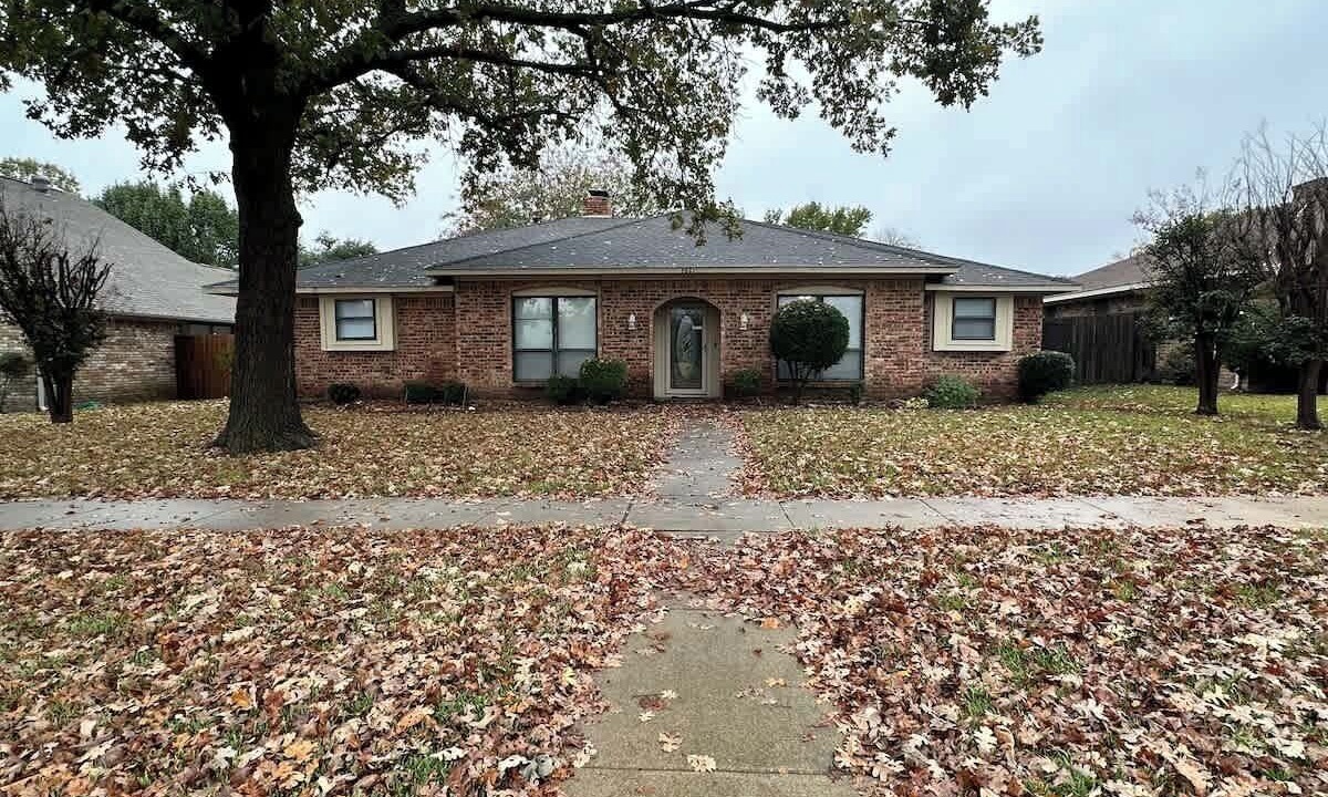 Photo of Outdoor in Garland