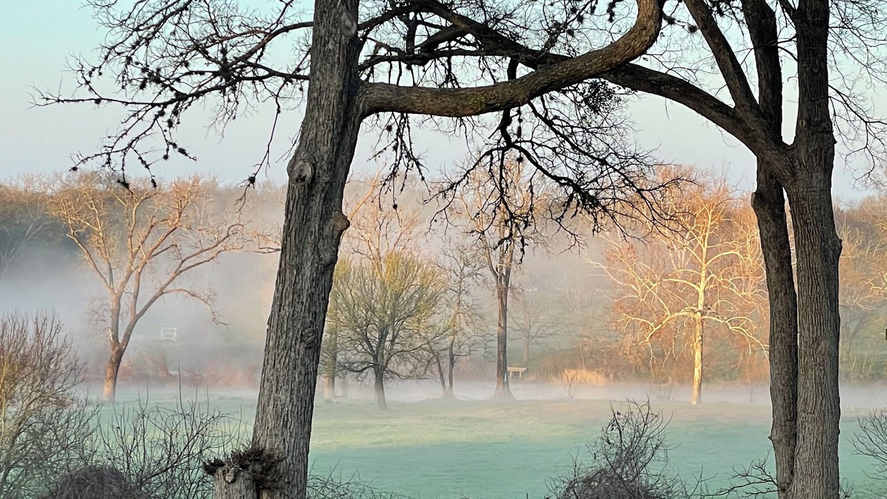 Photo of Others in Bastrop