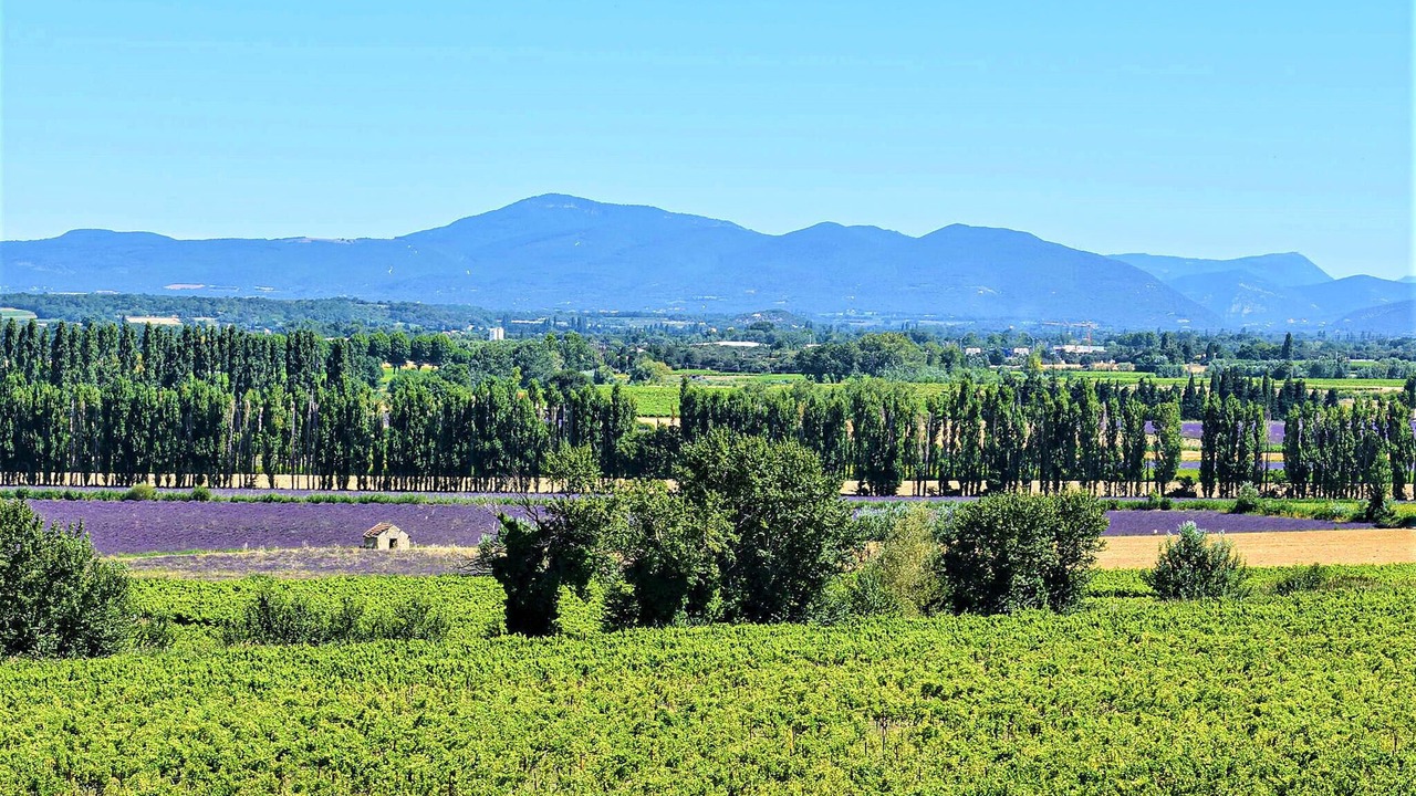 Photo of Others in Grignan