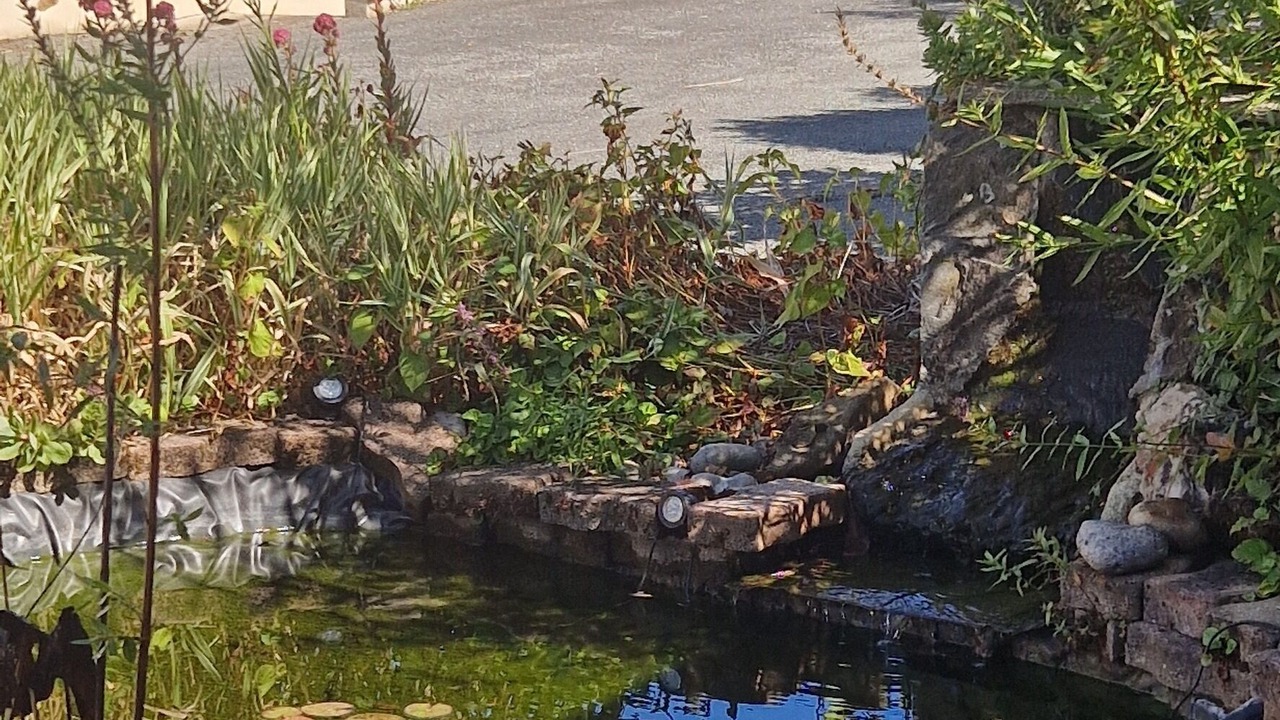 Photo of Outdoor in Montournais