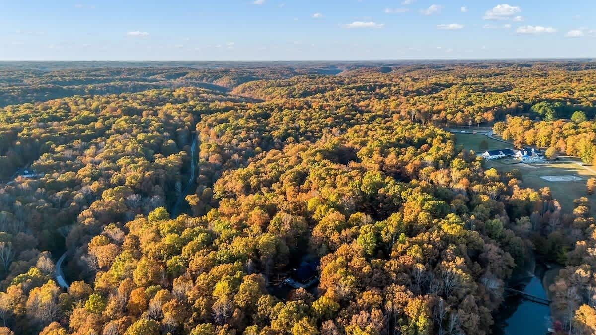 Photo of Outdoor in Franklin