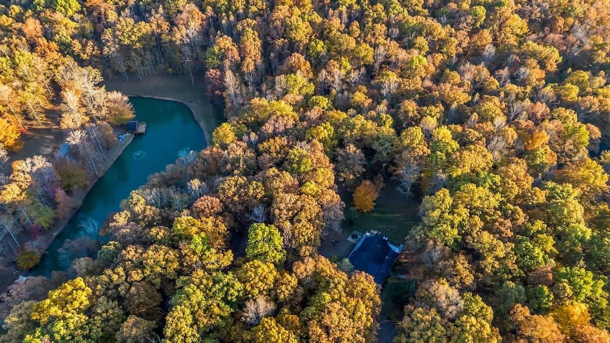 Photo of Outdoor in Franklin