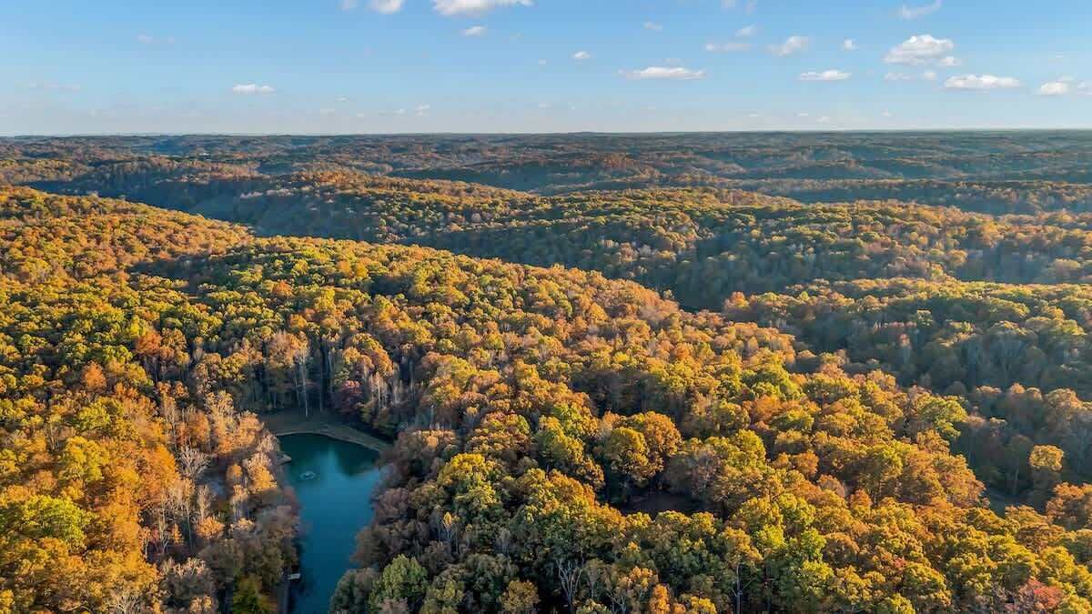 Photo of Outdoor in Franklin