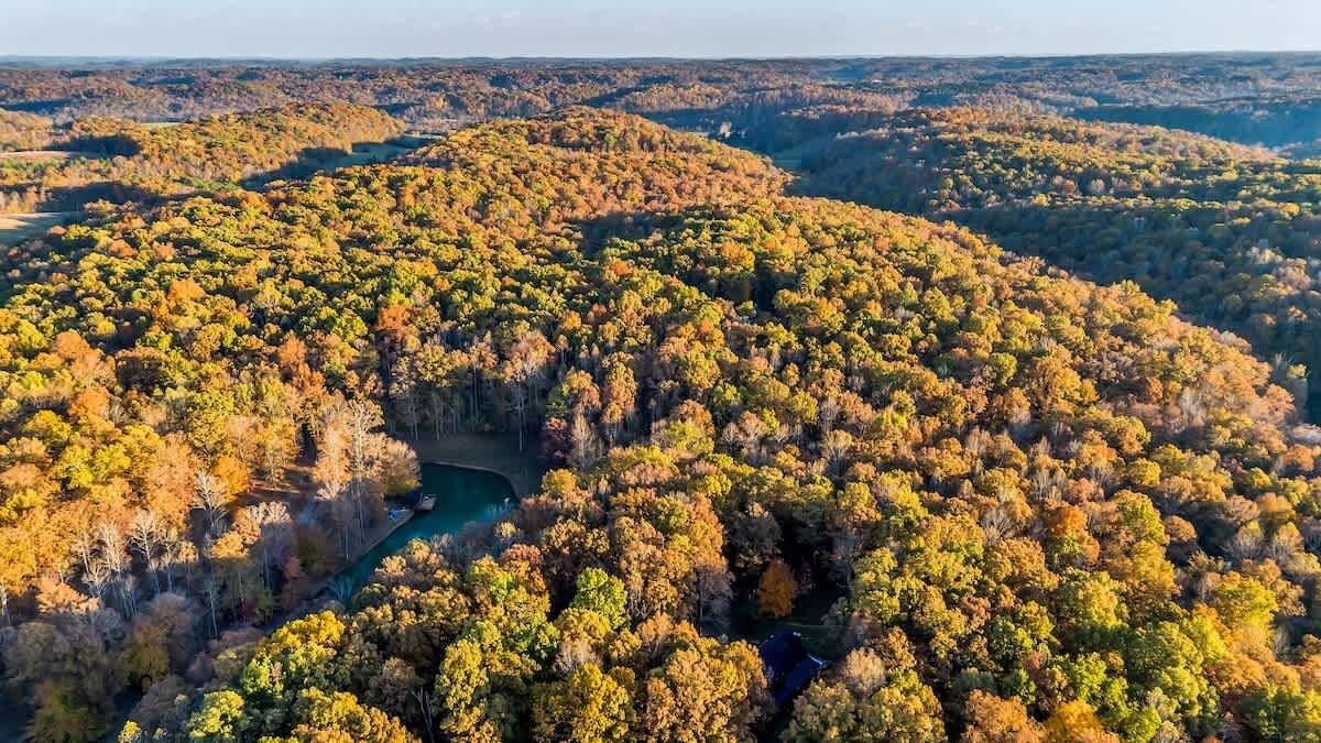 Photo of Outdoor in Franklin
