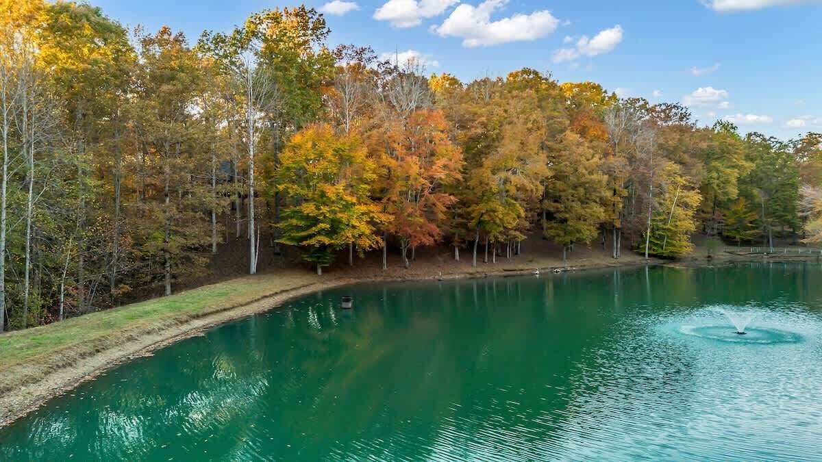 Photo of Others in Franklin