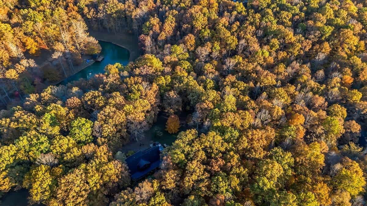Photo of Outdoor in Franklin