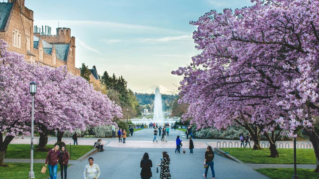 Photo of Others in University District