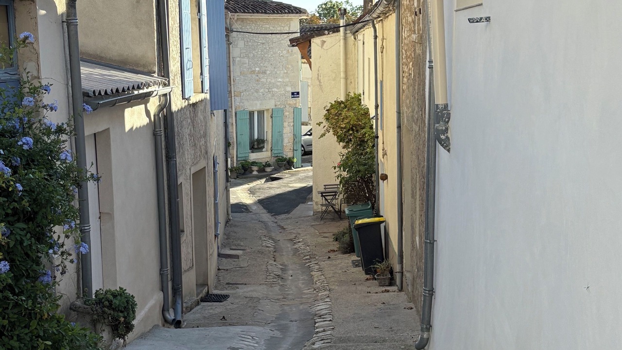 Photo of Others in Mortagne-sur-Gironde
