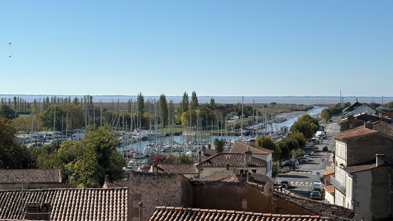 Photo of Others in Mortagne-sur-Gironde