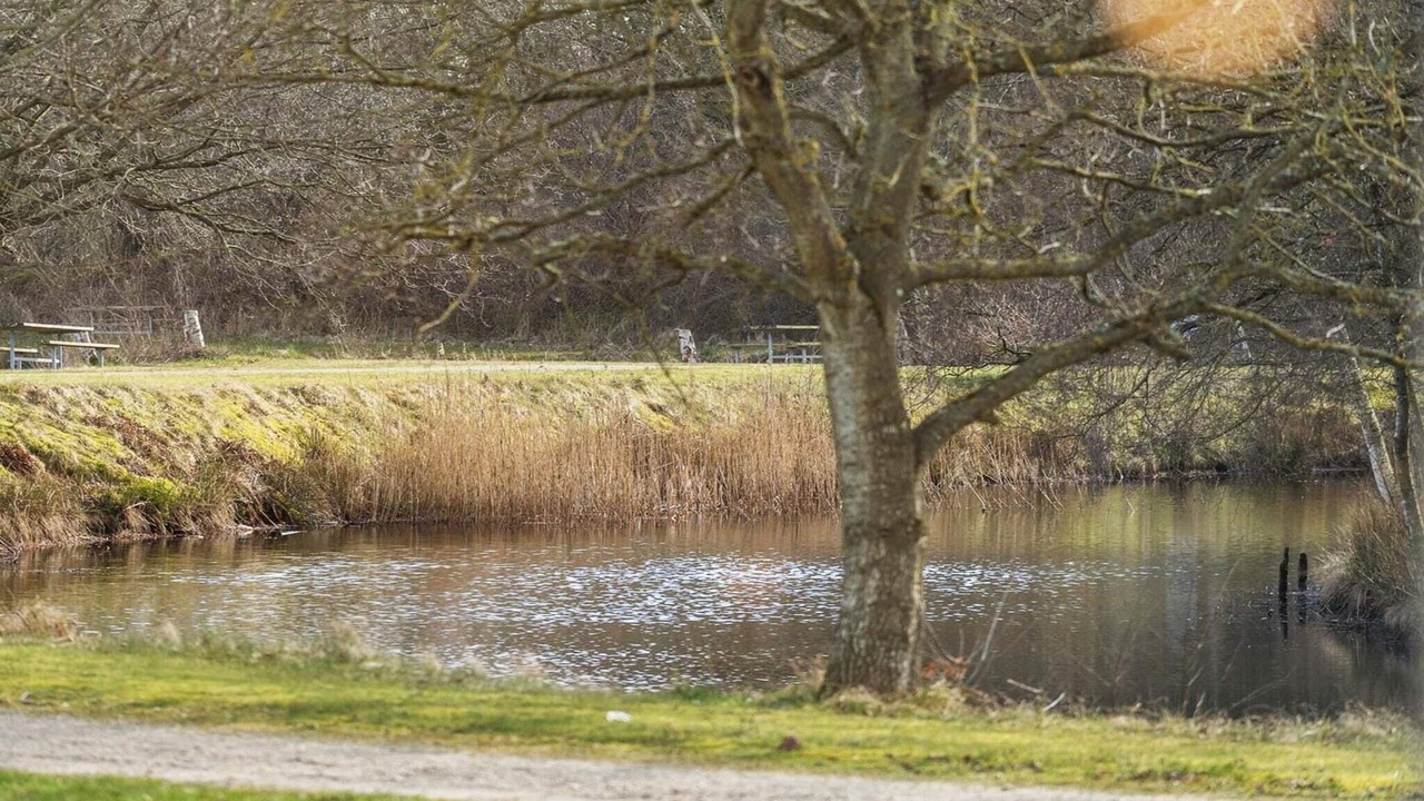 Photo of Outdoor in Ringkobing