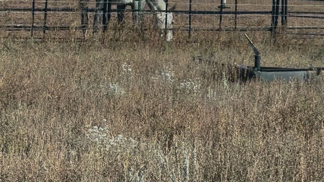 Photo of Others in Edgewood