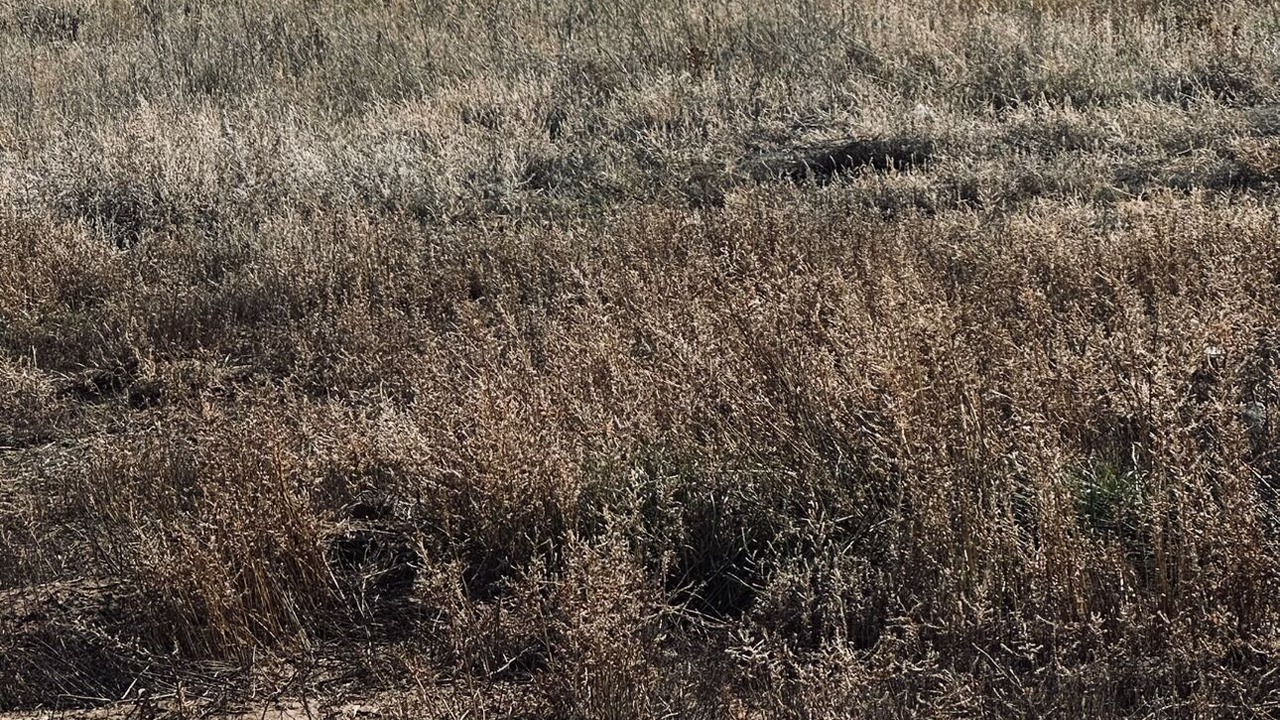 Photo of Others in Edgewood