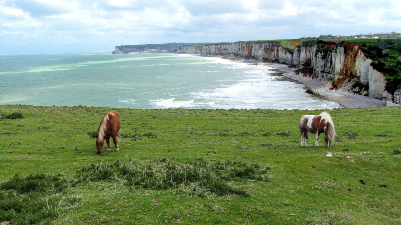 Photo of Outdoor in Normanville