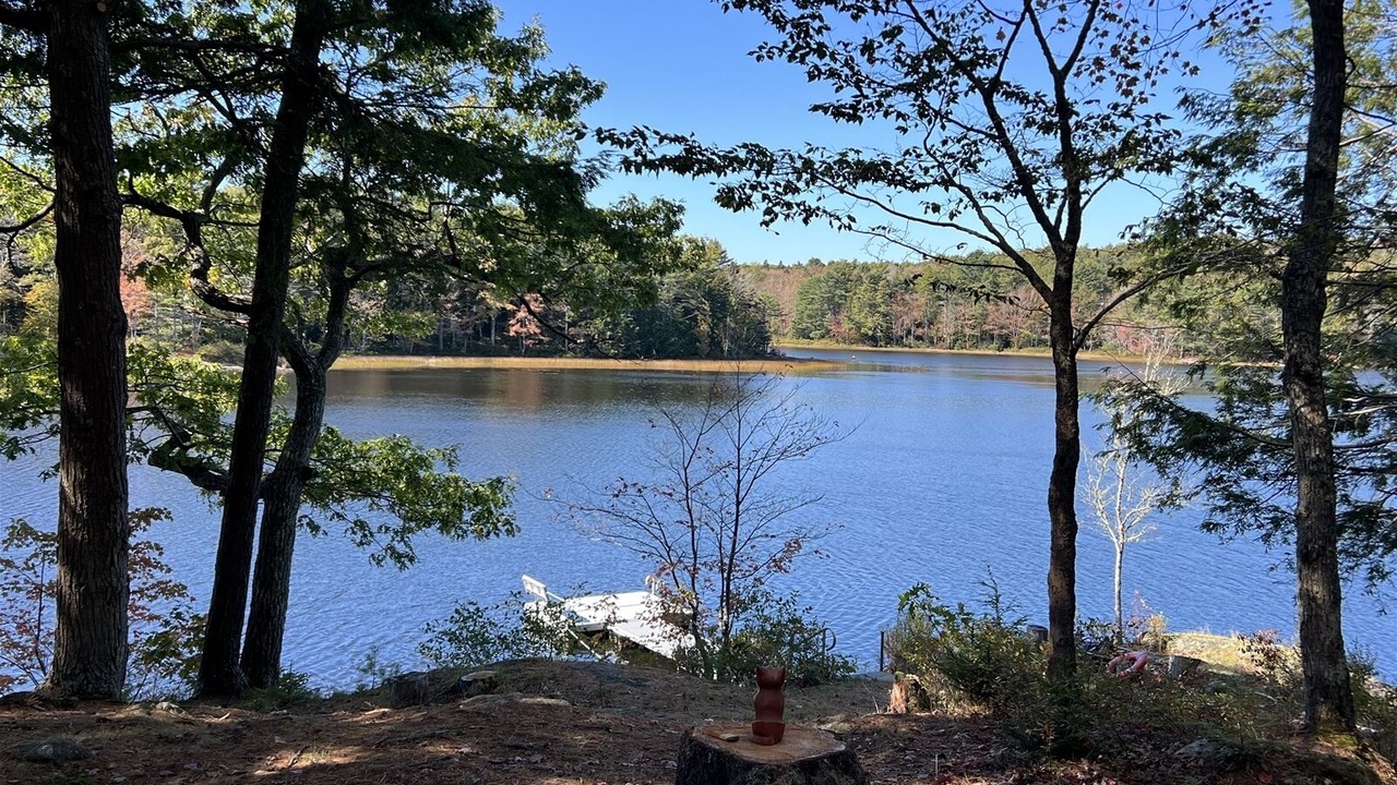 Photo of Others in Bristol