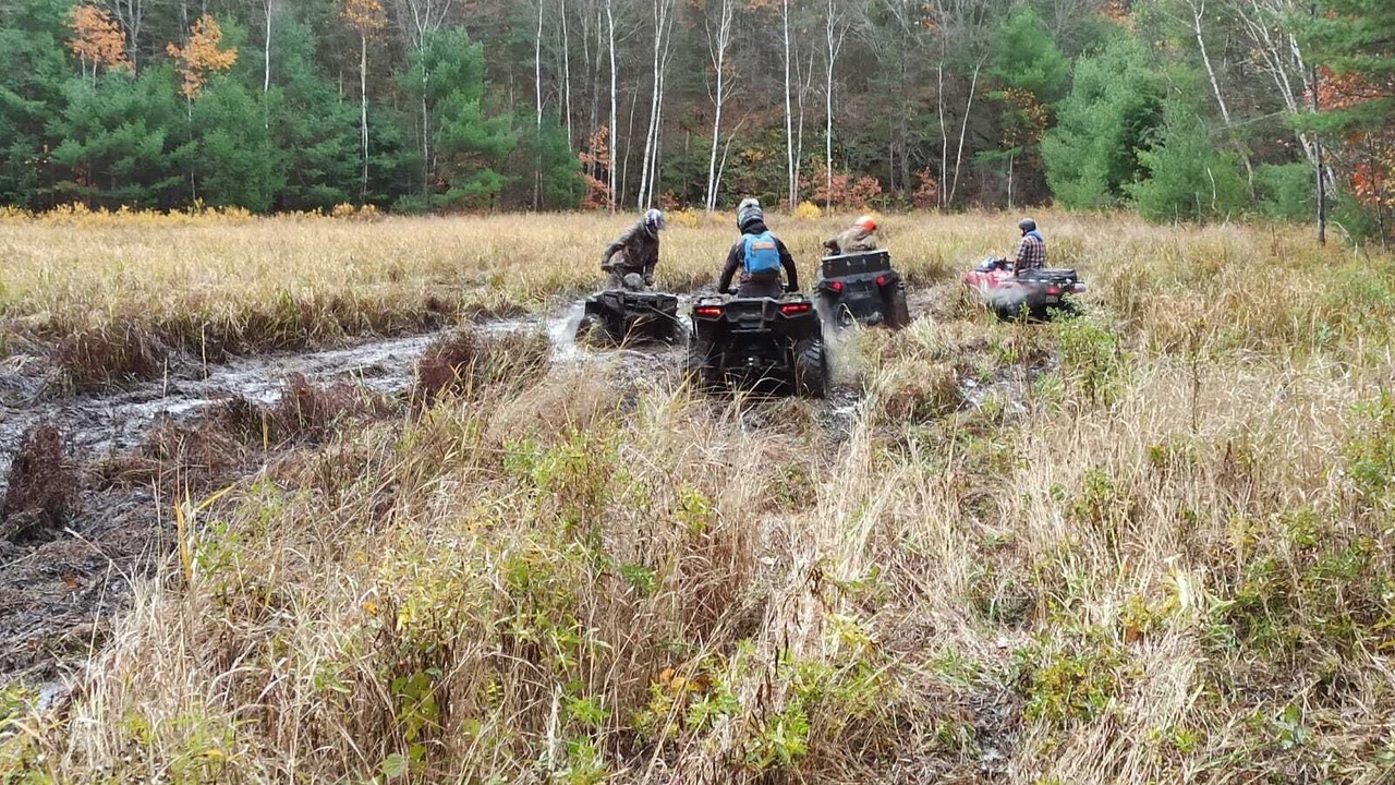 Photo of Others in Georgian Bay