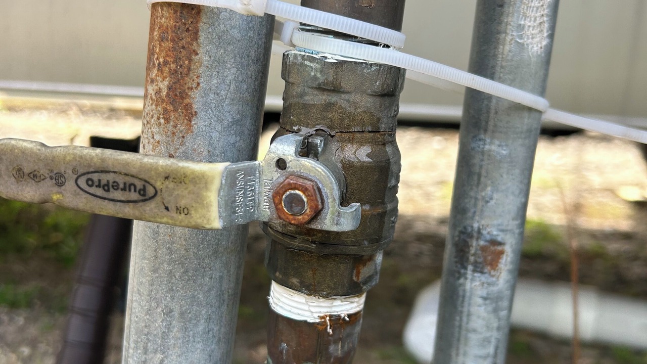 Photo of Others in Winchester