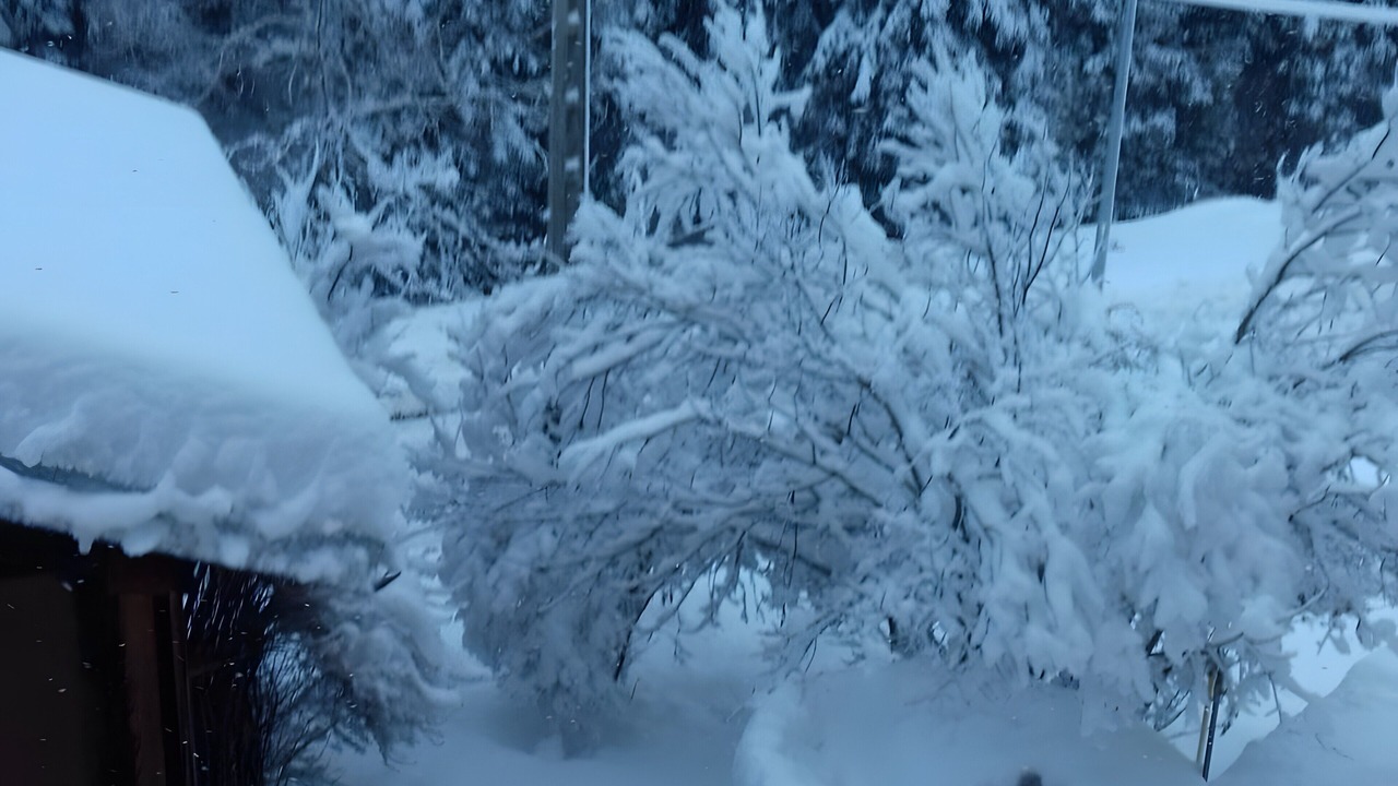 Photo of Outdoor in Vallorcine
