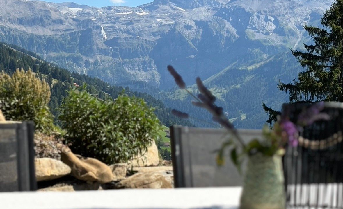 Photo of Others in Lenk