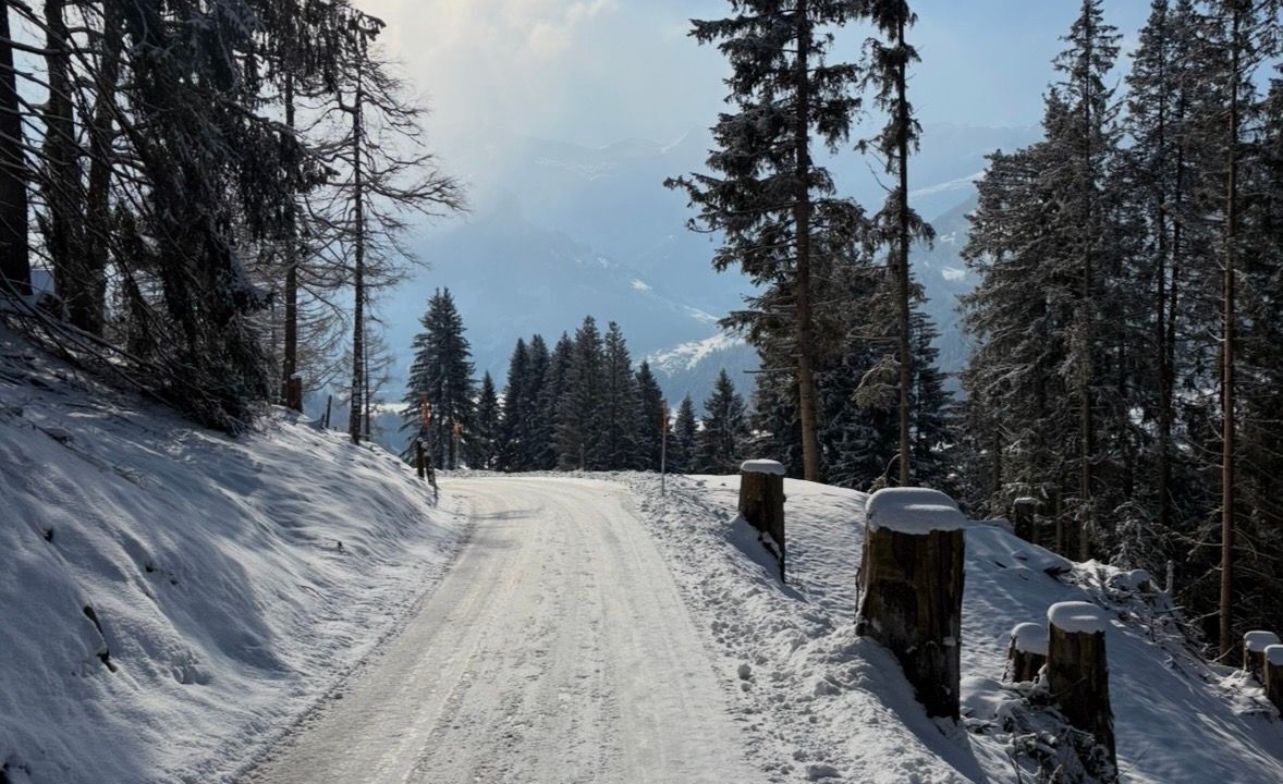 Photo of Others in Lenk