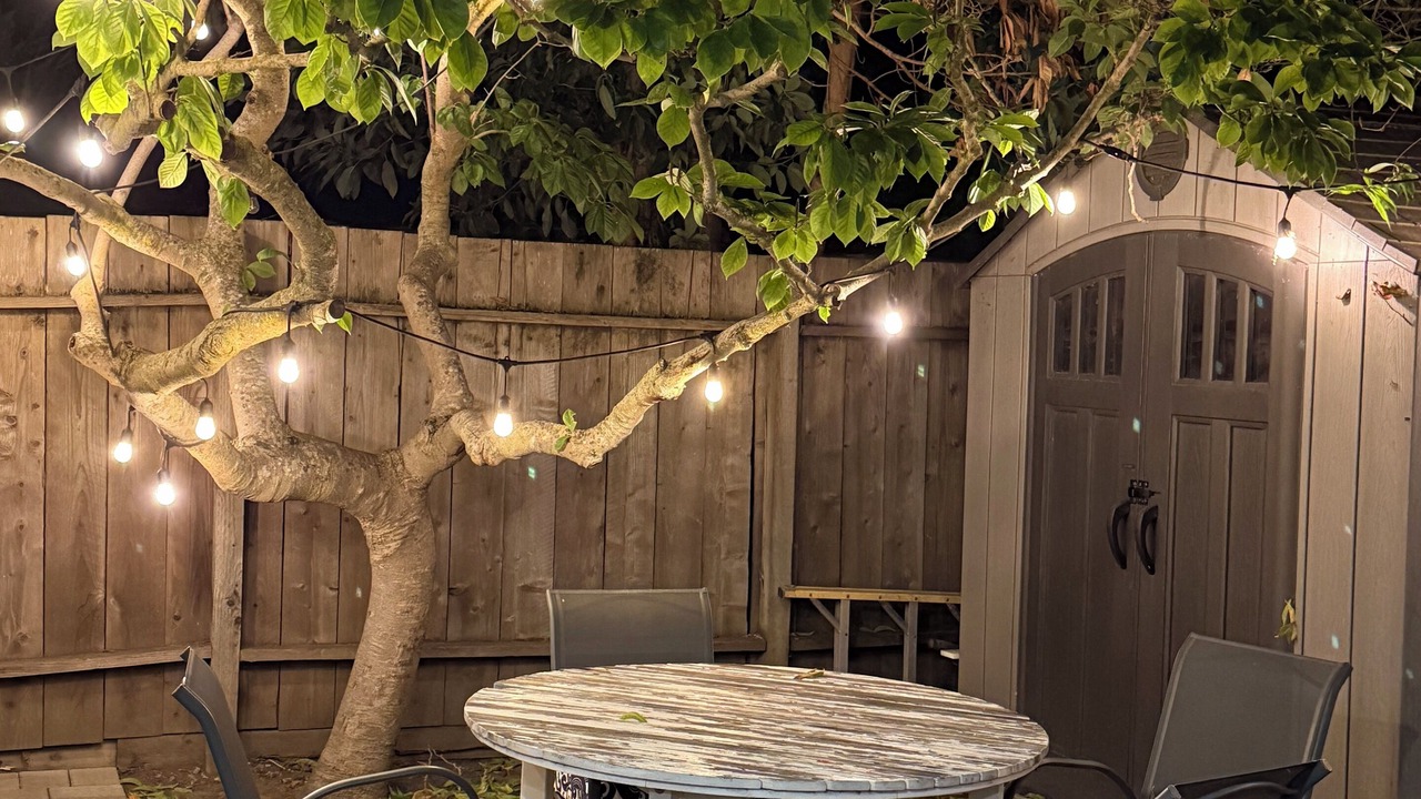Photo of Outdoor in East Palo Alto