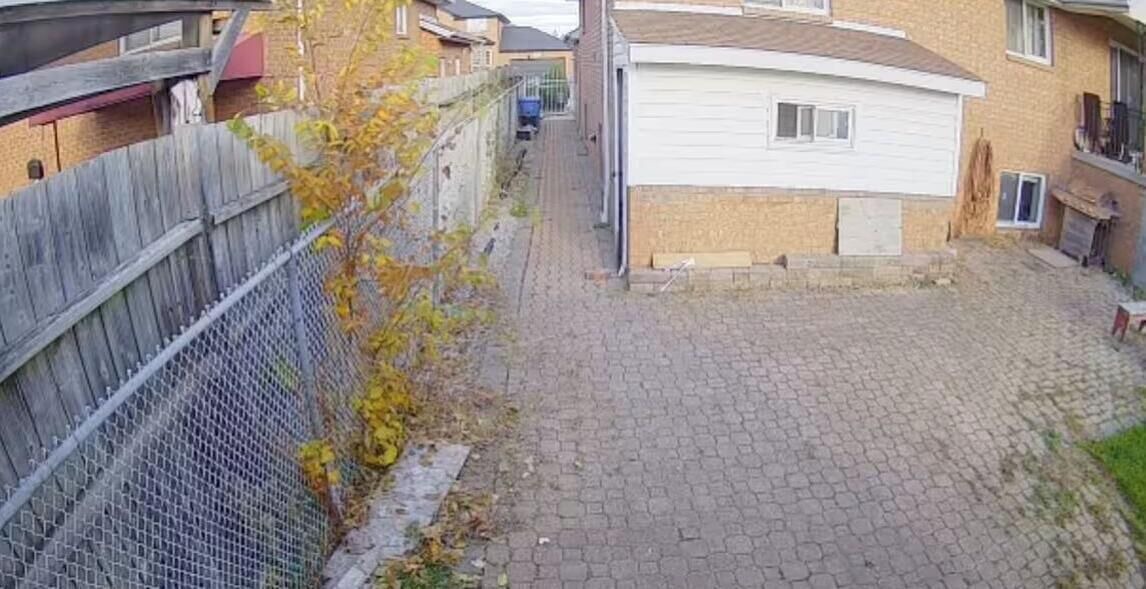 Photo of Others in Windsor