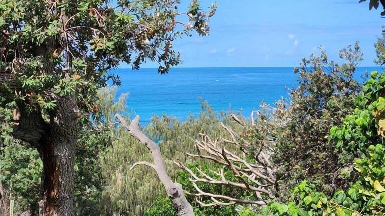 Photo of Others in Point Lookout