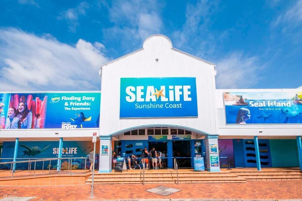 Photo of Others in Mooloolaba