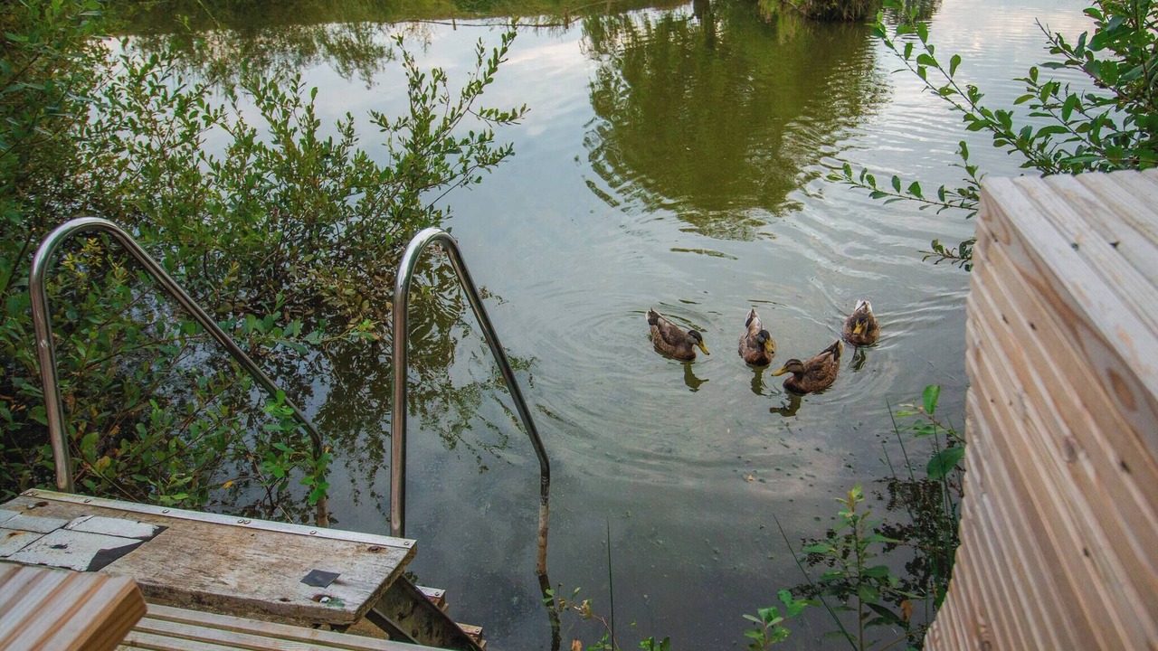 Photo of Outdoor in Henfield