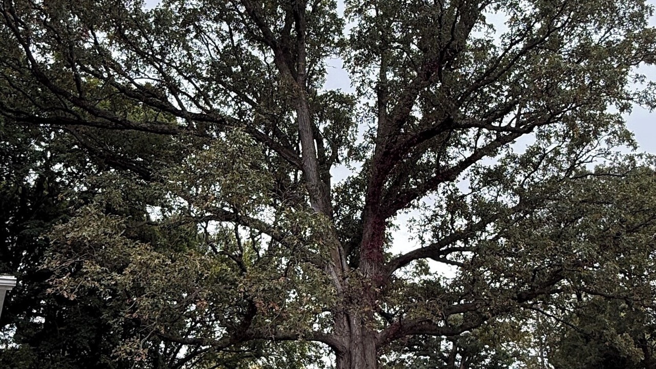 Photo of Others in Cartwright