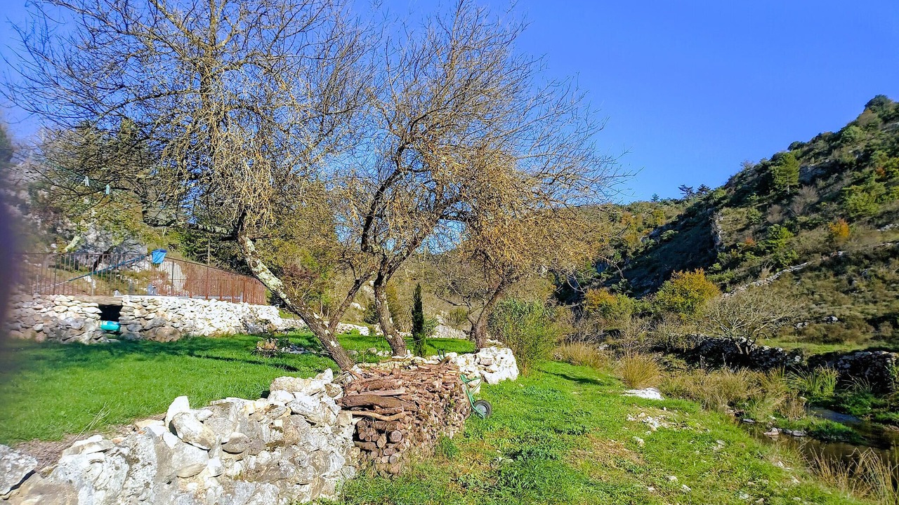 Photo of Others in Gras