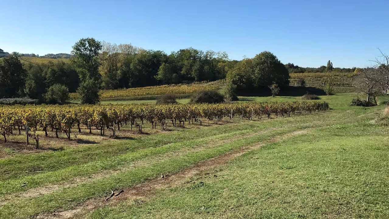 Photo of Bedroom in Mombrier