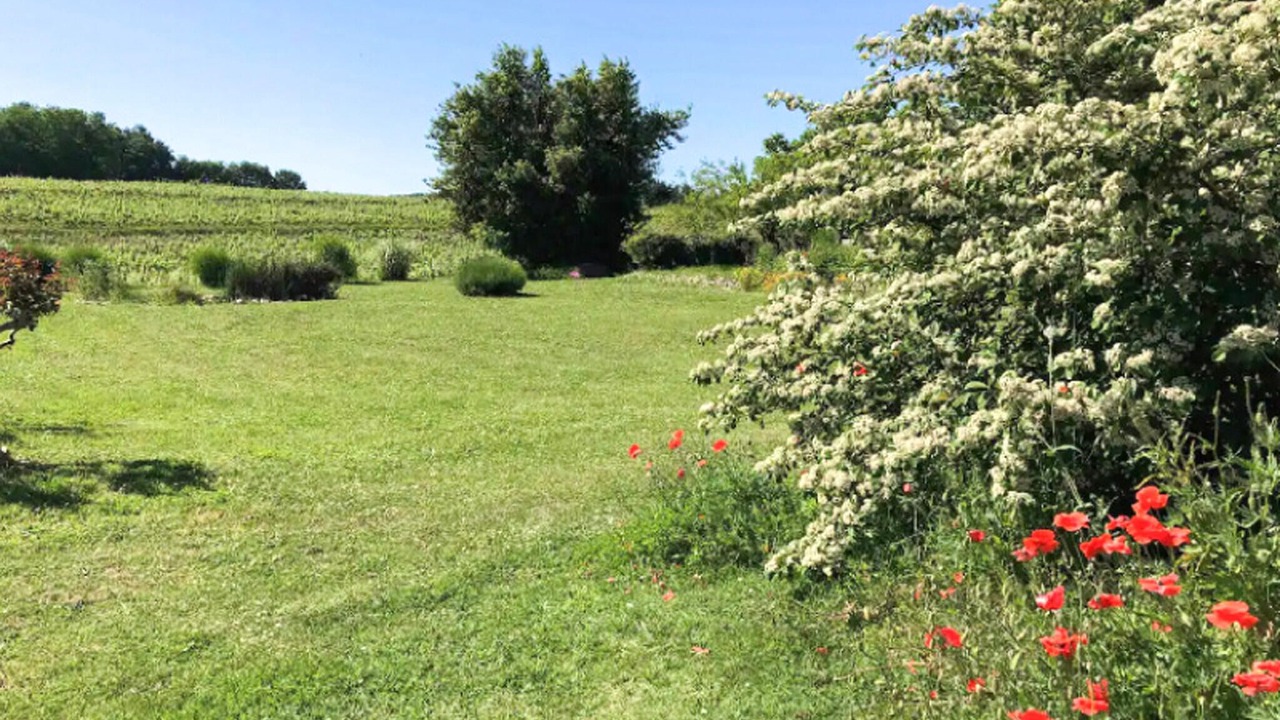 Photo of Others in Mombrier