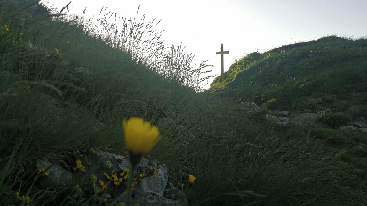 Photo of Others in Saint-Jacques-des-Blats